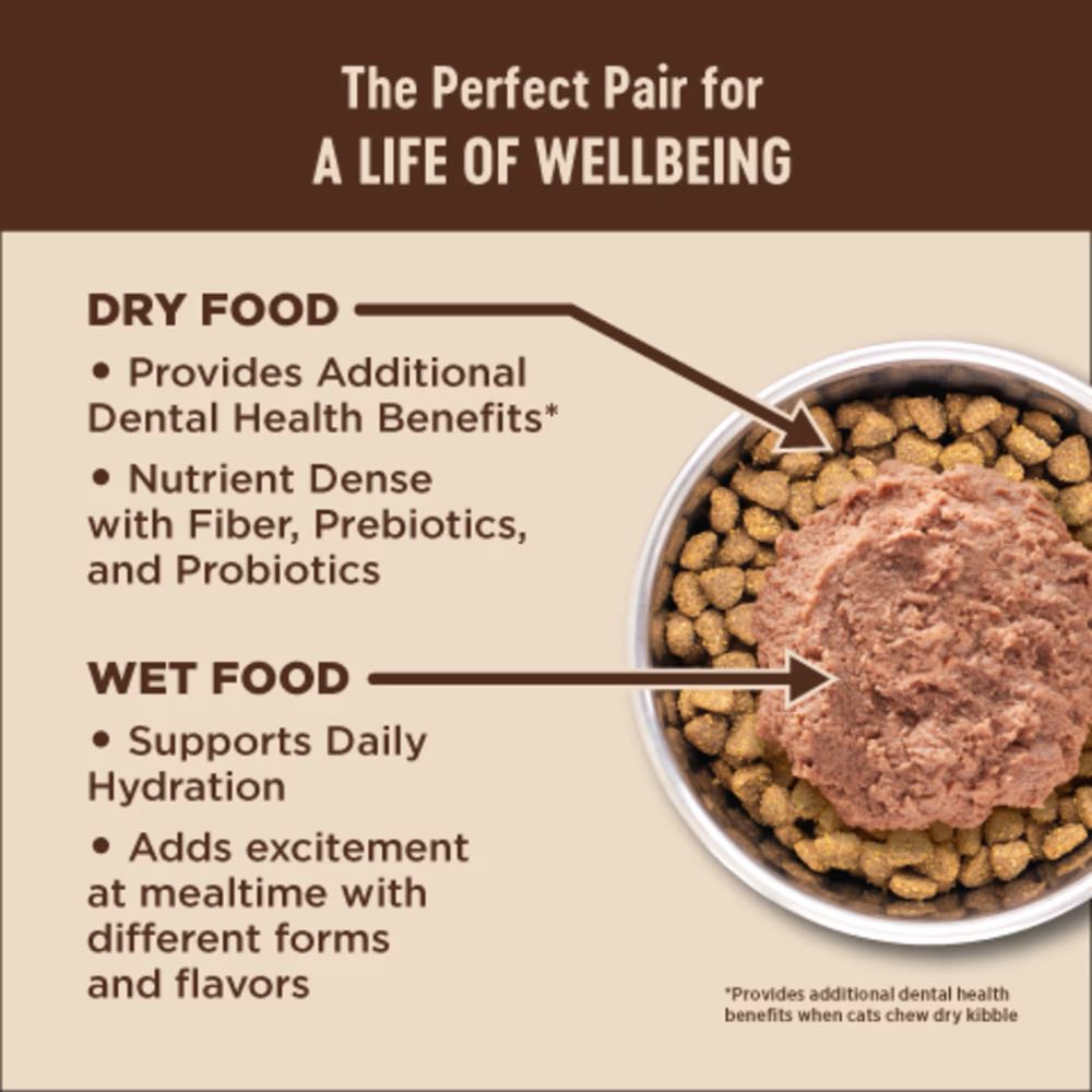 Wellness Core+ Digestive Health Chicken Pate Grain-Free Canned Cat Food 85g