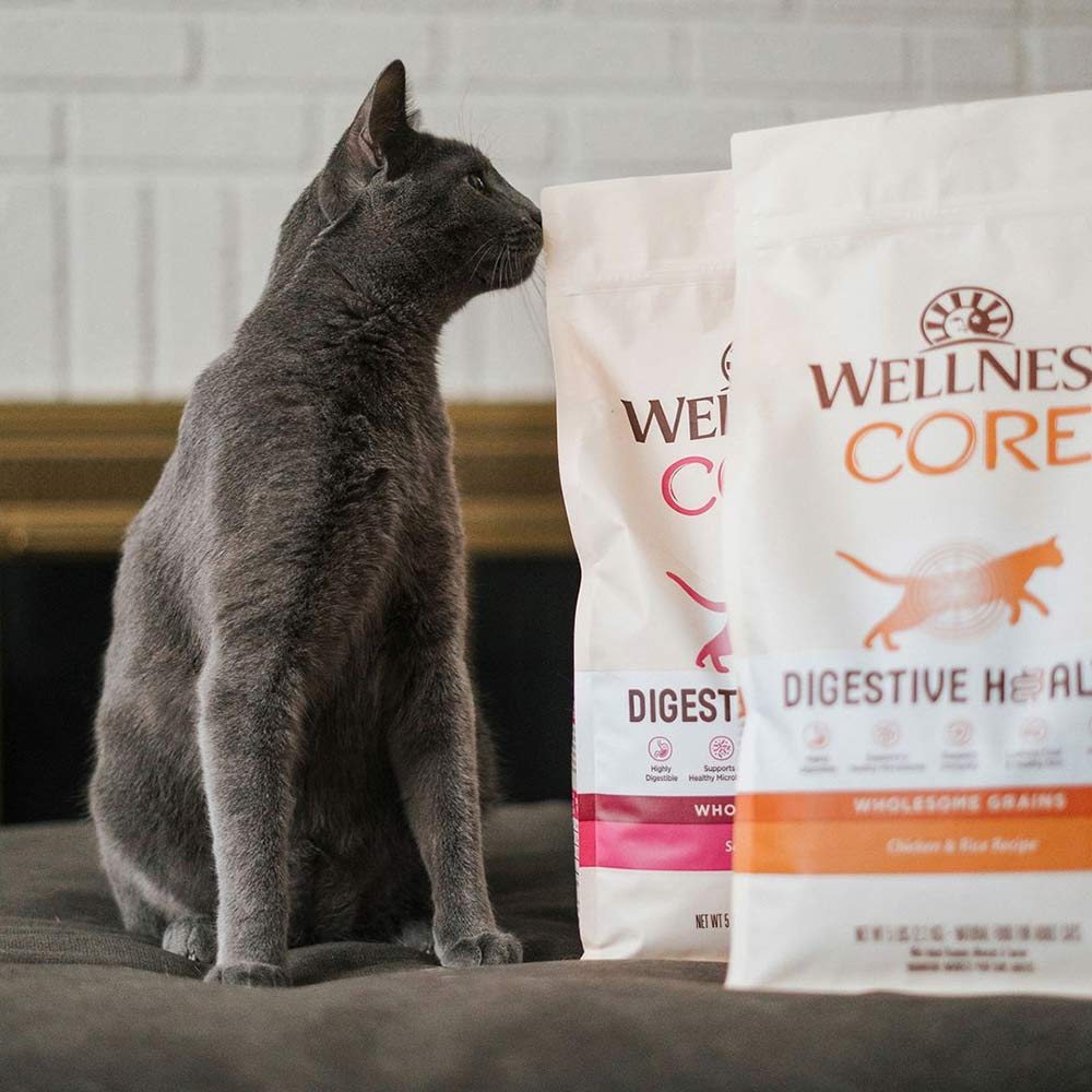 Wellness Core Digestive Health Dry Cat Food — Scrumptious, Nutritious & Easy To Digest!