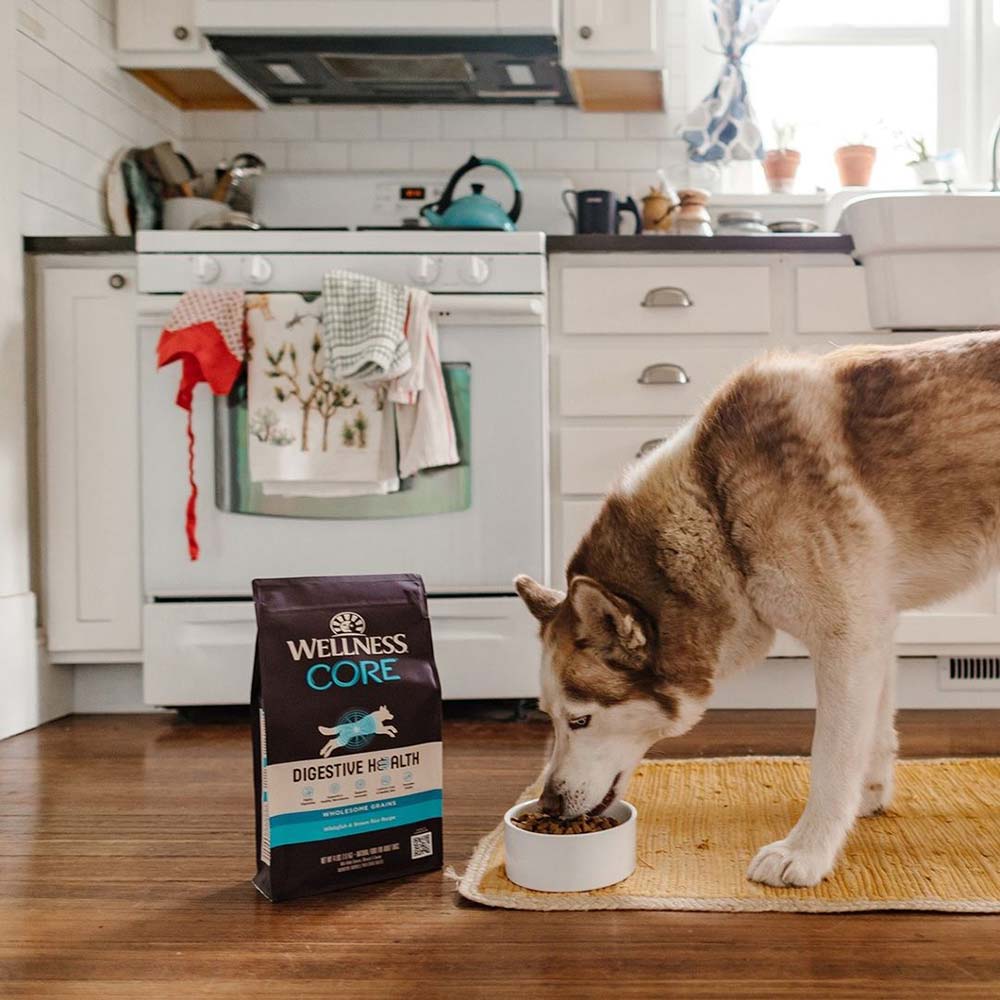Wellness Core Digestive Health Dry Dog Food — Easily Digestible Nutrition!