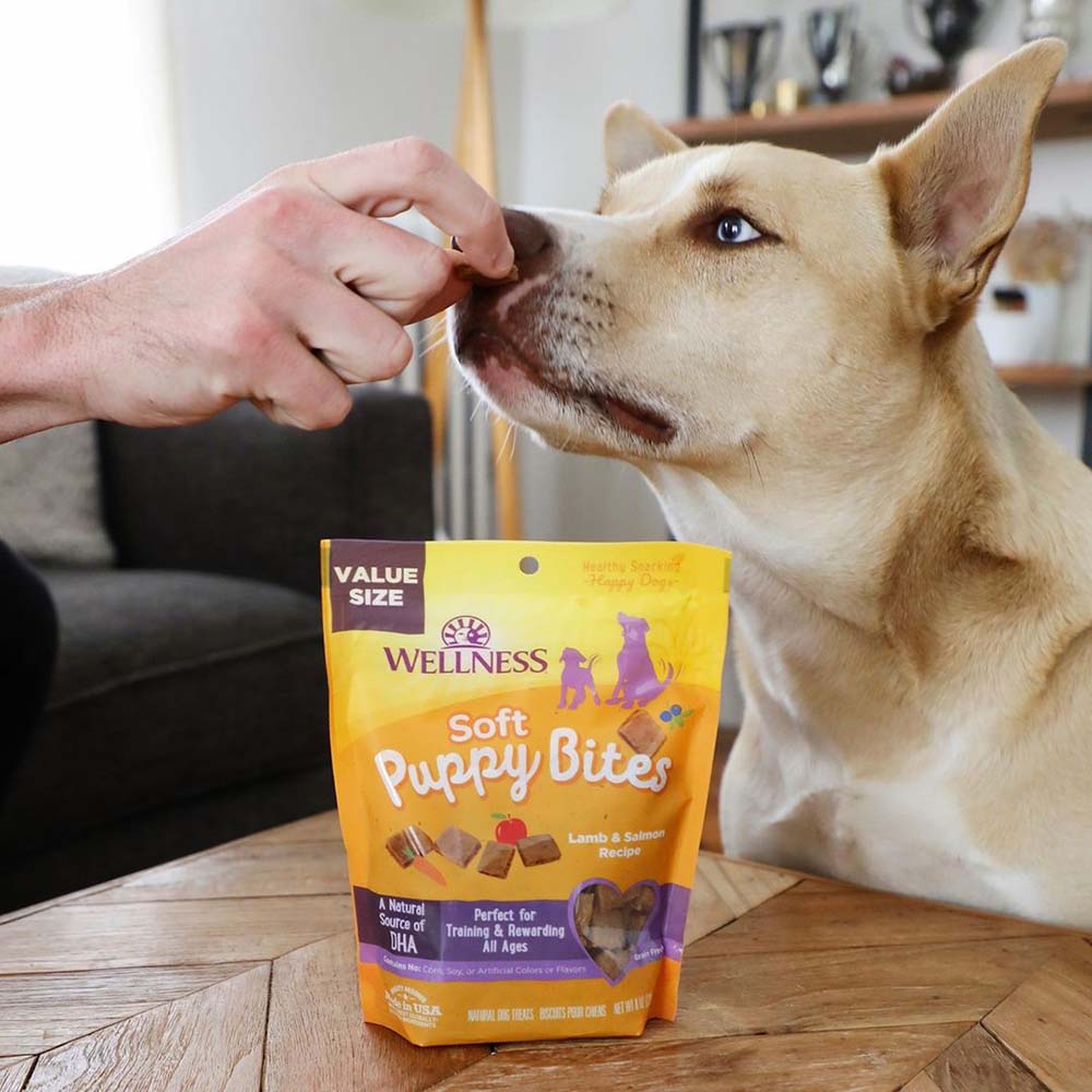 Wellness Dog Treats — Delectable, High-Quality Treats For Everyday Treating!