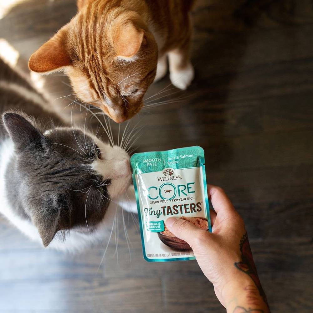 Wellness Pouch & Tray Cat Food — Convenient Meals Great For Adult Cats!