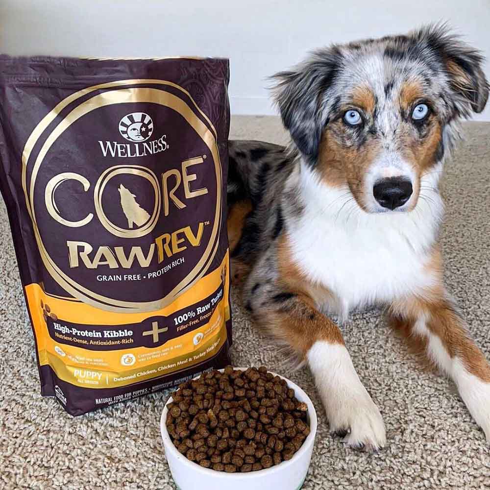 Wellness CORE RawRev Dry Dog Food — Freeze-Dried Raw Morsels With Every Bite!