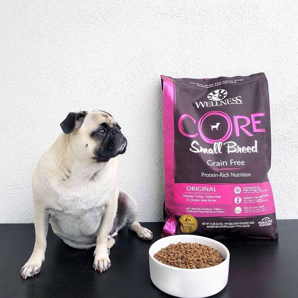 Wellness Small Breed Dog Food — Nutrition Your Small Dog Needs
