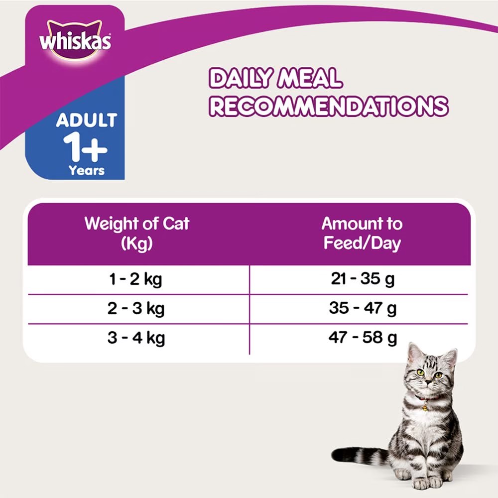 '65% OFF (Exp 9Apr25)': Whiskas Skin & Coat Chicken & Salmon Adult Dry Cat Food 1.1kg
