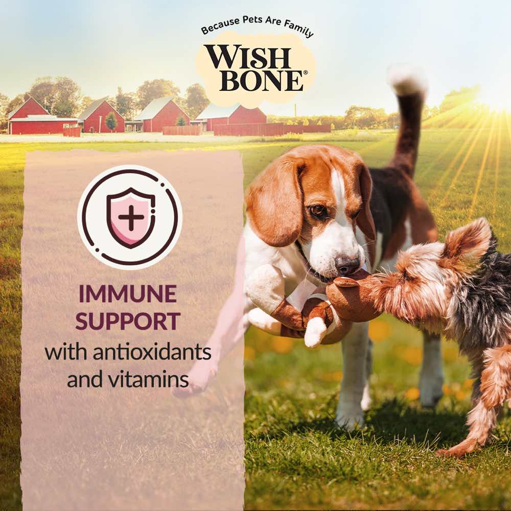 Wishbone Roost Premium Chicken Meal Grain-Free Dry Dog Food