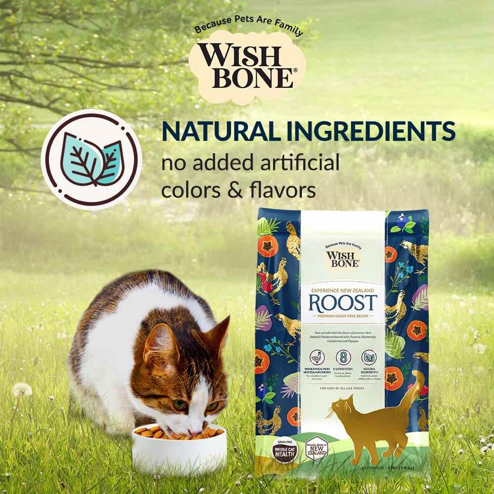Wishbone Roost Chicken Grain-Free Dry Cat Food 4lb