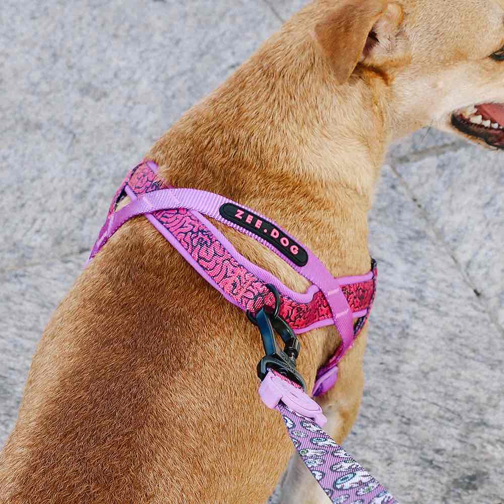 Zee.Dog Brain Softer Walk Dog Harness | Kohepets