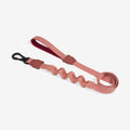 Zee.Dog Canyon Ruff Dog Leash