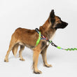 Zee.Dog Manifesto Softer Walk Dog Harness