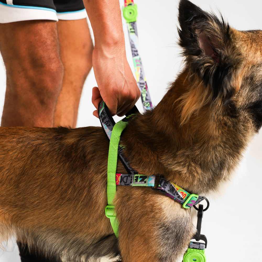 Zee.Dog Manifesto Softer Walk Dog Harness