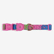 Zee.Dog Melted Lords of Zee.Town Dog Collar