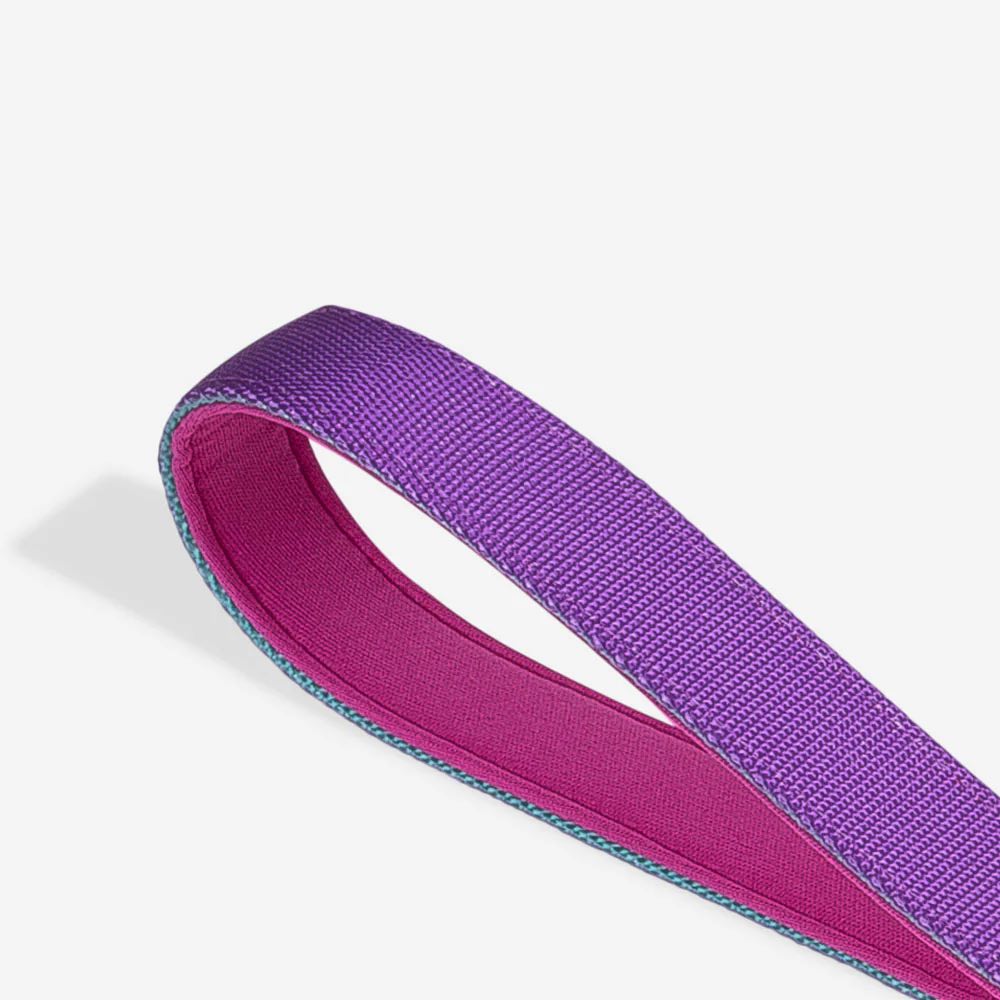 Zee.Dog Shockwave Ruff Dog Leash