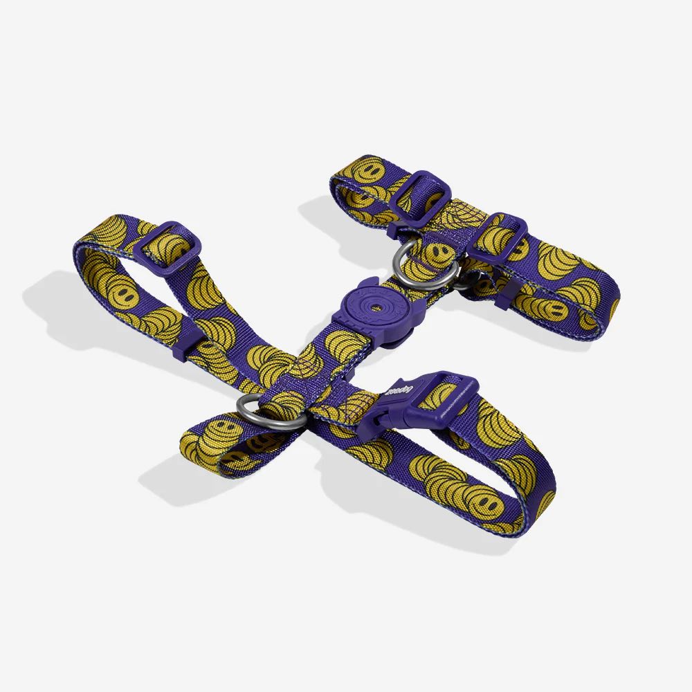 Zee.Dog Zmiley Lords of Zee.Town Dog H-Harness