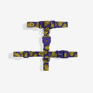 Zee.Dog Zmiley Lords of Zee.Town Dog H-Harness