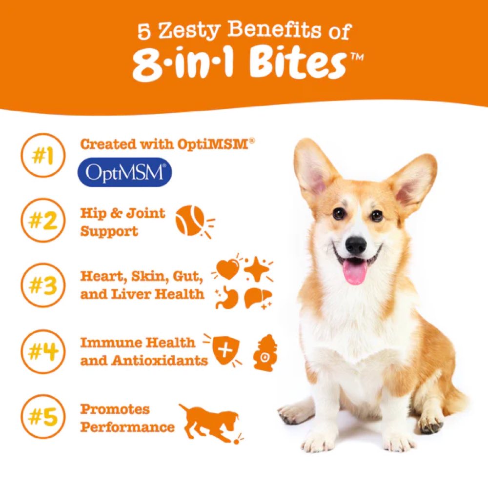 Zesty Paws 8-in-1 Bites Chicken Flavor Dog Supplement Chews 90ct