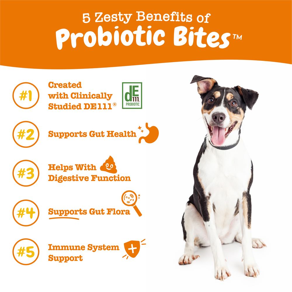 Zesty Paws Probiotic Bites Pumpkin Flavor Dog Supplement Chews 90ct
