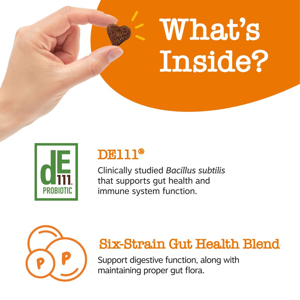 Zesty Paws Probiotic Bites Pumpkin Flavor Dog Supplement Chews 90ct