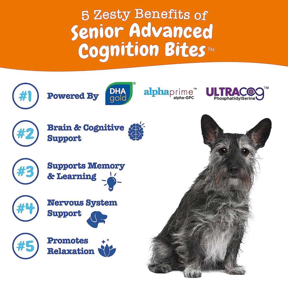 Zesty Paws Senior Advanced Cognition Bites Chicken Flavor Dog Supplement Chews 90ct