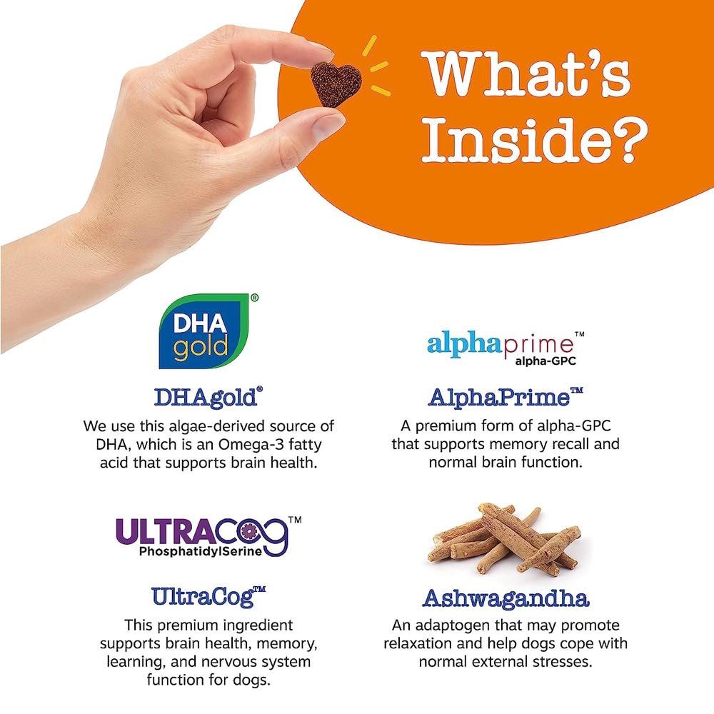 Zesty Paws Senior Advanced Cognition Bites Chicken Flavor Dog Supplement Chews 90ct