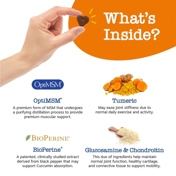 Zesty Paws Senior Advanced Mobility Bites Chicken Flavor Dog Supplement Chews 90ct