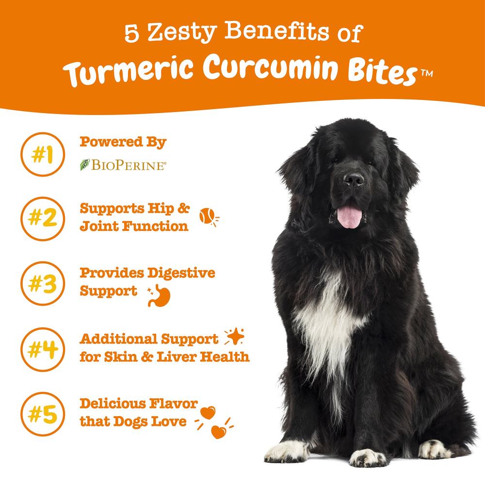 $20 OFF: Zesty Paws Turmeric Curcumin Bites Supplements for Dogs
