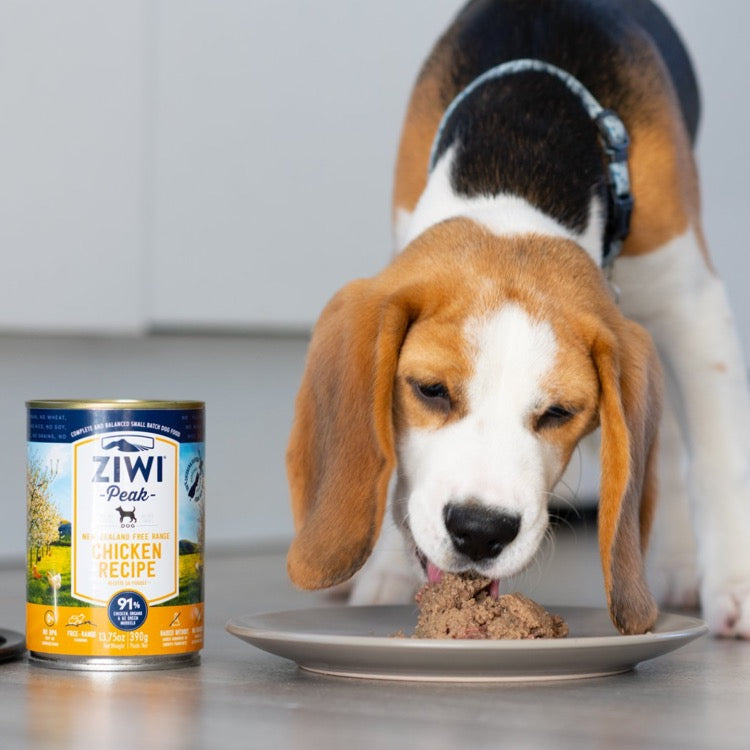 ZiwiPeak Canned Dog Food — Premium Meals In Every Can