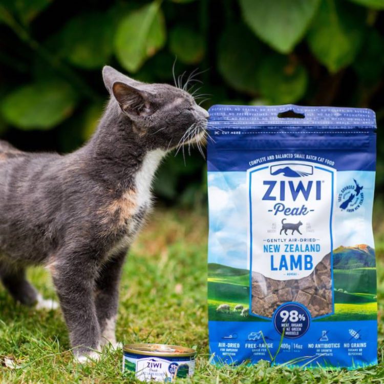 ZiwiPeak Air-Dried Cat Food — Everything Your Feline Needs