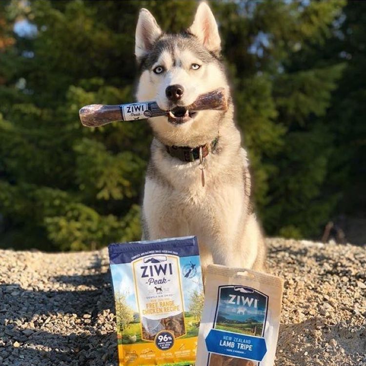 ZiwiPeak Pet Food — The New Zealand Difference