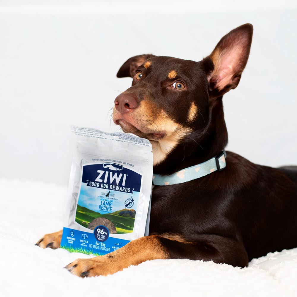 ZiwiPeak Dog Treats — Tasty, Nutritious Rewards