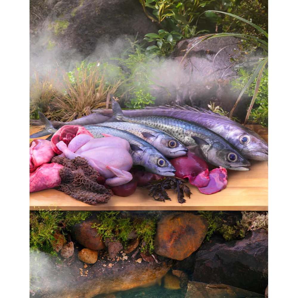 20% OFF: Ziwi Peak Cage Free Chicken With Whole Mackerel Recipe Steam & Dried Cat Food