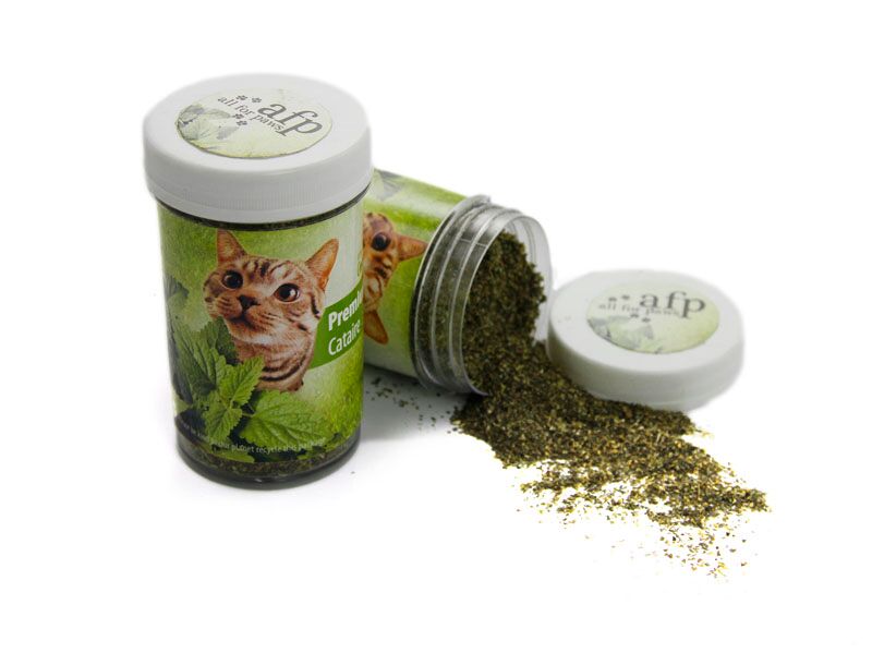 All For Paws Premium Catnip 25g - Kohepets