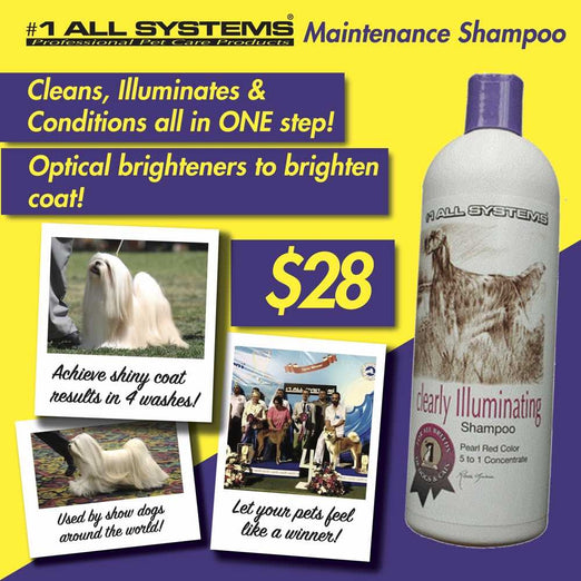 ZZZ #1 All Systems Clearly Illuminating Pet Shampoo - Kohepets