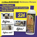 ZZZ #1 All Systems Super Cleaning & Conditioning Pet Shampoo - Kohepets