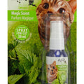 All For Paws Magic Scent Catnip Spray 30ml - Kohepets
