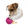 All For Paws Xtra-R Extra Durable Ball Dog Toy - Kohepets