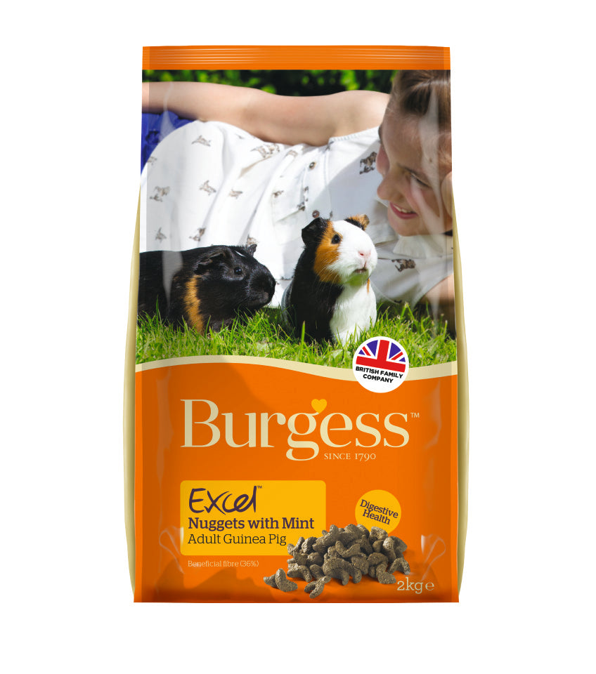 Burgess Excel Tasty Nuggets For Guinea Pigs 2kg - Kohepets