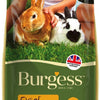 15% OFF: Burgess Excel Tasty Nuggets With Oregano For Adult Rabbits 2kg - Kohepets