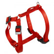 Ferplast Champion P Dog Harness Medium - Kohepets