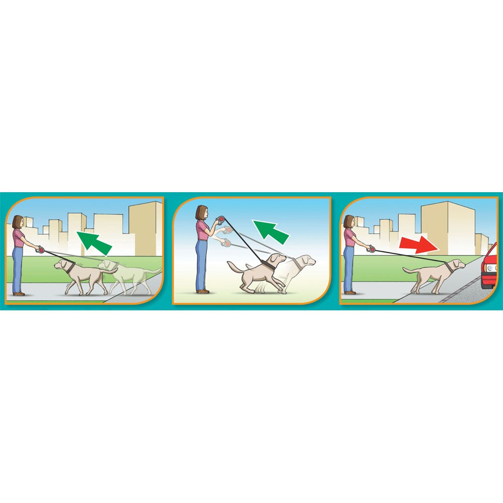 Ferplast Flippy Controller Cord Retractable Lead - Kohepets