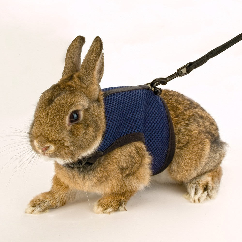 Ferplast Jogging Harness Extra Large - Kohepets