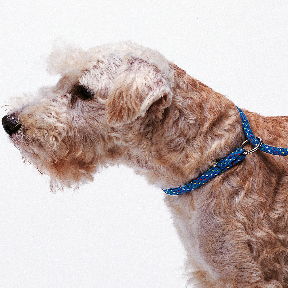 Ferplast Sport GC 13/170 Dog Lead With Collar - Kohepets