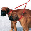 Ferplast Twin 10/36 Dog Lead - Kohepets