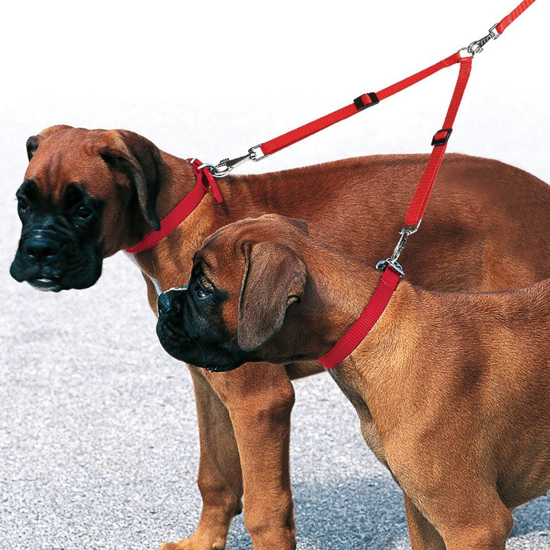Ferplast Twin 10/36 Dog Lead - Kohepets