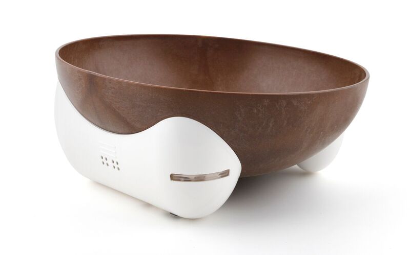 L'Chic Thirst Alert Water Bowl For Pets - Kohepets