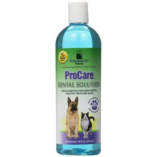 PPP Procare Dental Solution 16oz - Kohepets