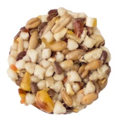 Sunseed SunSations Nutty Tidbits Bird Treat 3.5oz - Kohepets