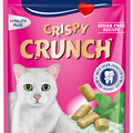 Vitakraft Crispy Crunch With Peppermint Cat Treat 60g - Kohepets