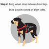 2 Hounds Design Freedom No-Pull Dog Harness & Leash - Burgundy/Black