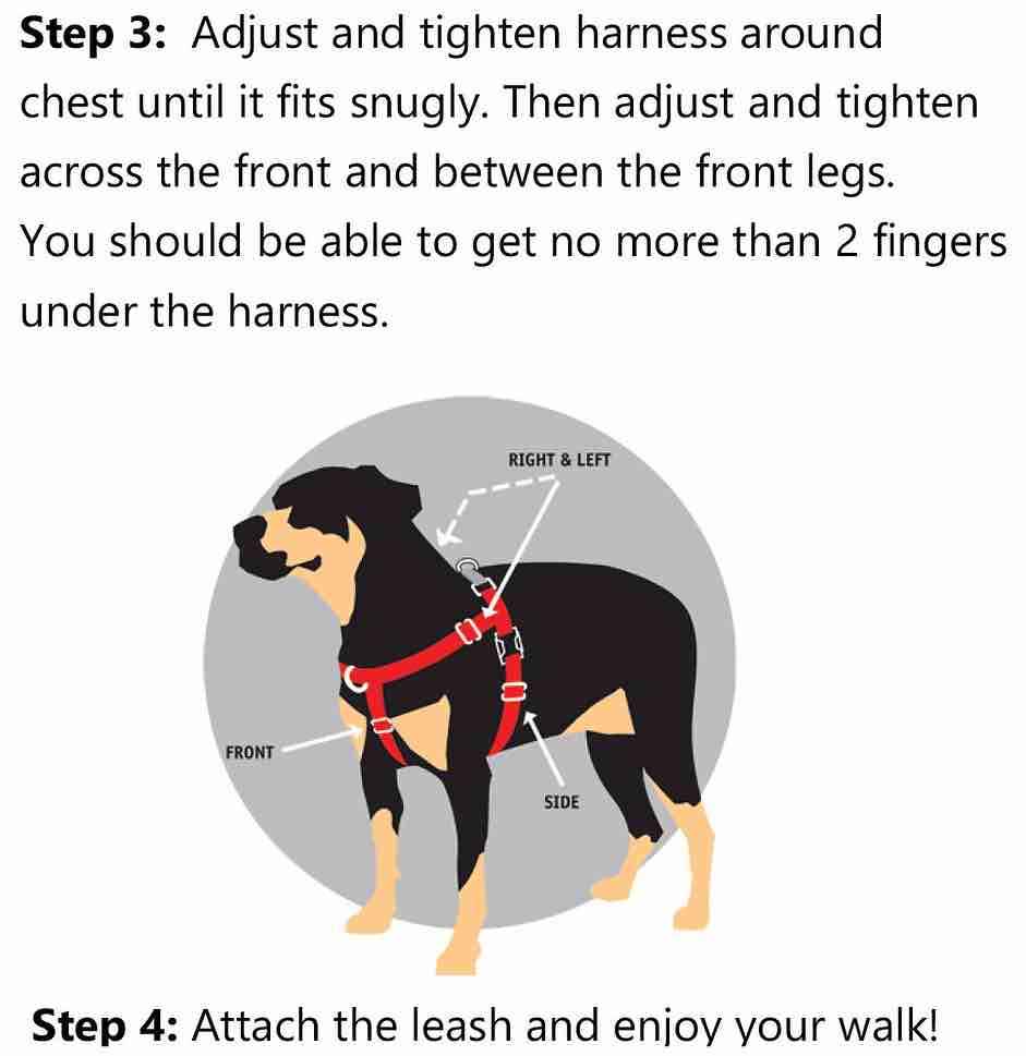 2 Hounds Design Freedom No-Pull Dog Harness & Leash - Neon Green/Kelly Green