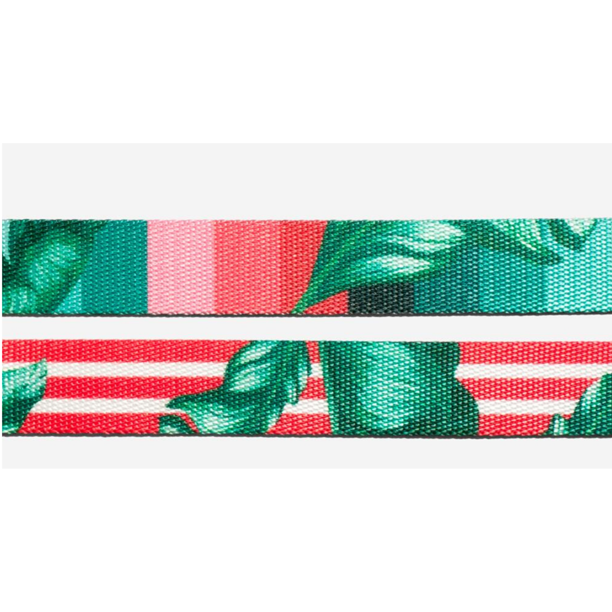 Zee.Cat Bali Cat Collar - Kohepets